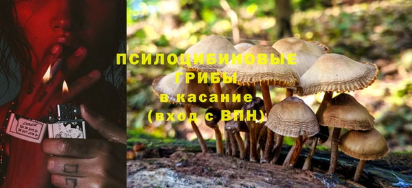 ПСИЛОЦИБИНОВЫЕ ГРИБЫ Магас
