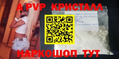сатива Новозыбков