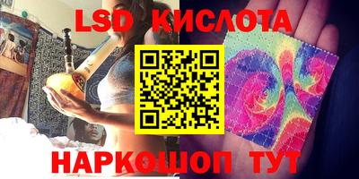 сатива Новозыбков