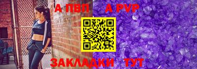 сатива Новозыбков