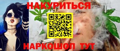 сатива Новозыбков