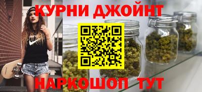 сатива Новозыбков