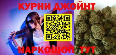 сатива Новозыбков