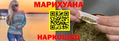 сатива Новозыбков