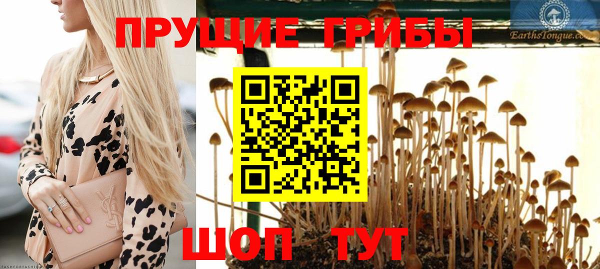 Галлюциногенные грибы прущие грибы Туапсе