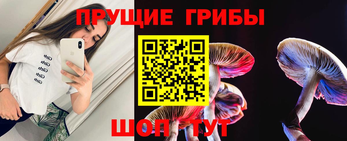 Туапсе  Псилоцибиновые грибы MAGIC MUSHROOMS  Вход с VPN 